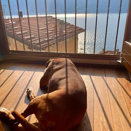 Bernhouse Tatil Evi Dorio